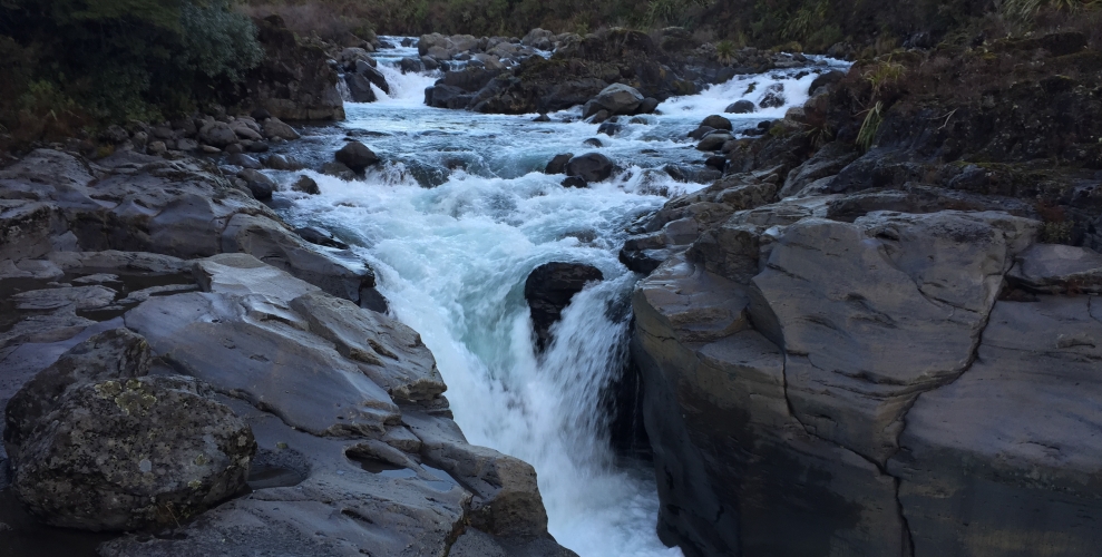 The Mahuia Rapids, part of the Pukeonaki Stream, fed by two volcanic complexes.